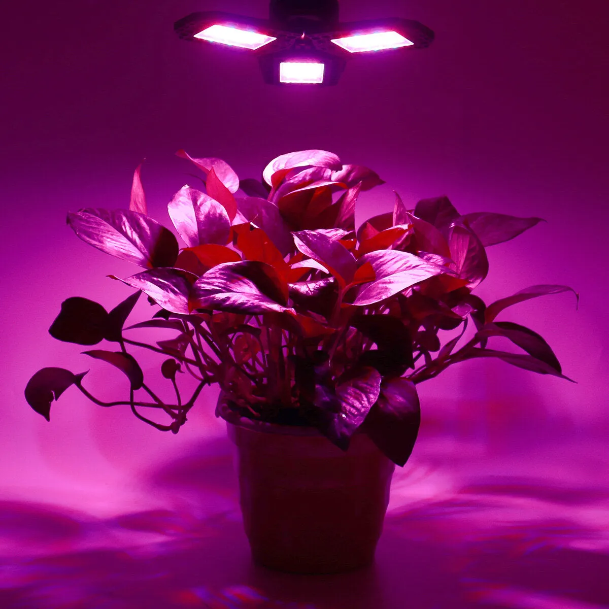 144 LED Grow Lights Panel Full Spectrum E27 LED Plant Growth Greenhouse Lamp