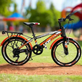20" Coloful Morgan Bicycle