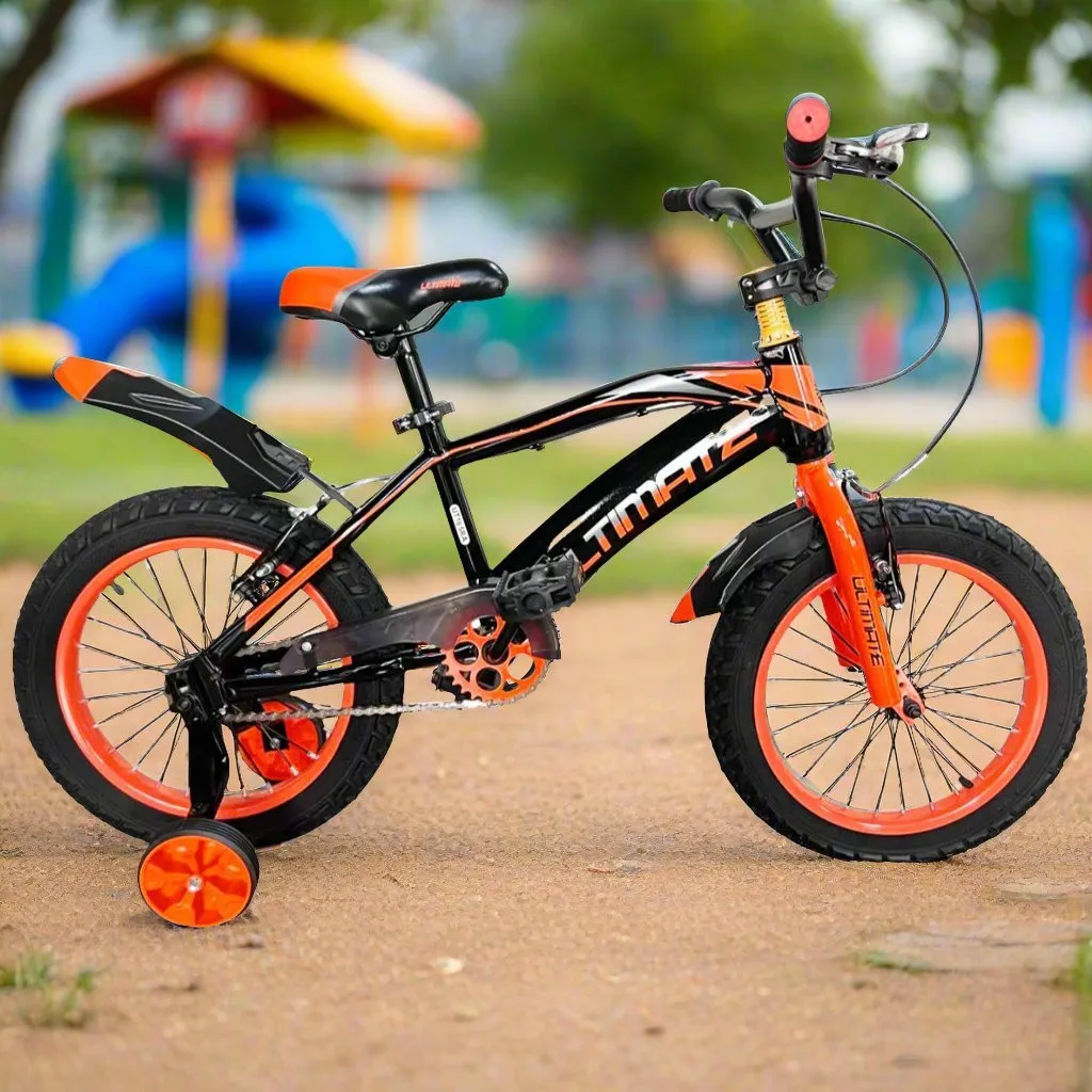 20" Colorful Bicycle | Black/Orange