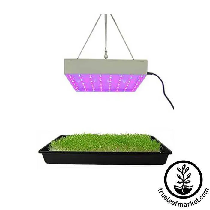 50 Watt LED Grow Light Panel