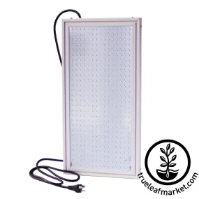 50 Watt LED Grow Light Panel