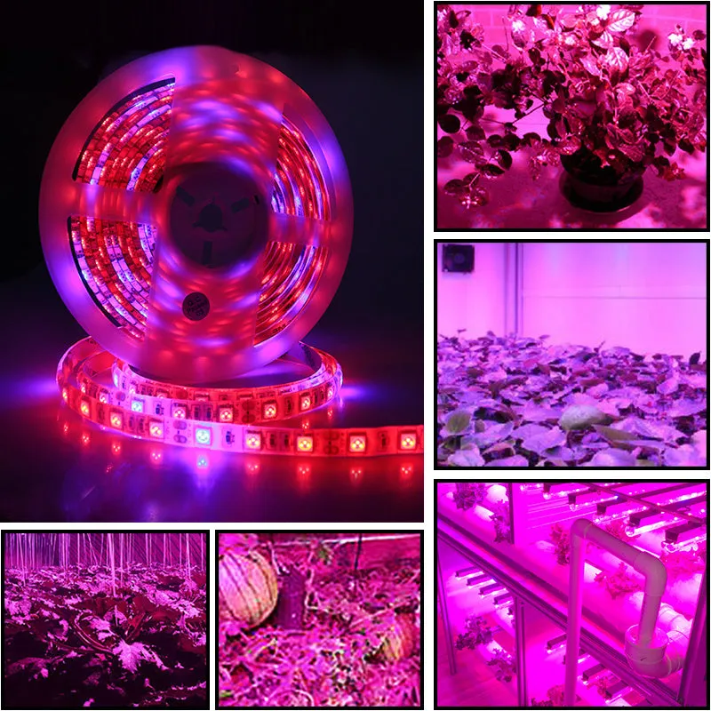 5050Led plant growth soft light bar