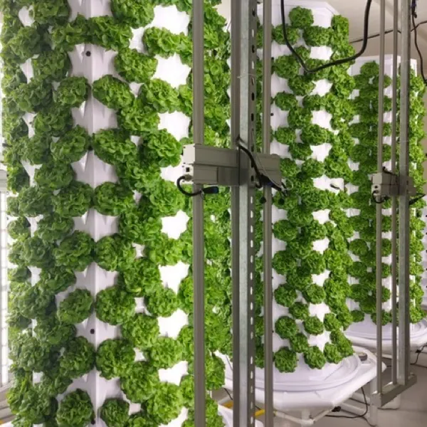Agreo Rotary Garden Aeroponic Vertical Farm