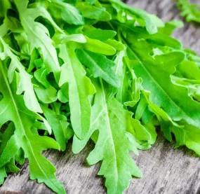 Arugula - Roquette Organic (Seeds)