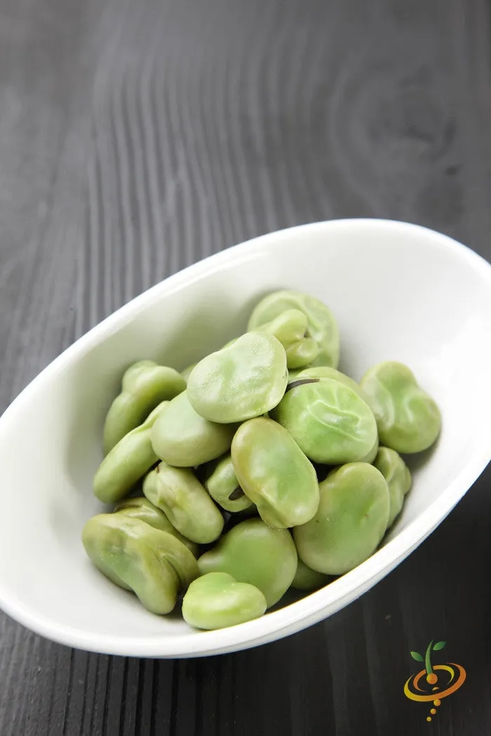 Bean, Lima/Bush - Thorogreen