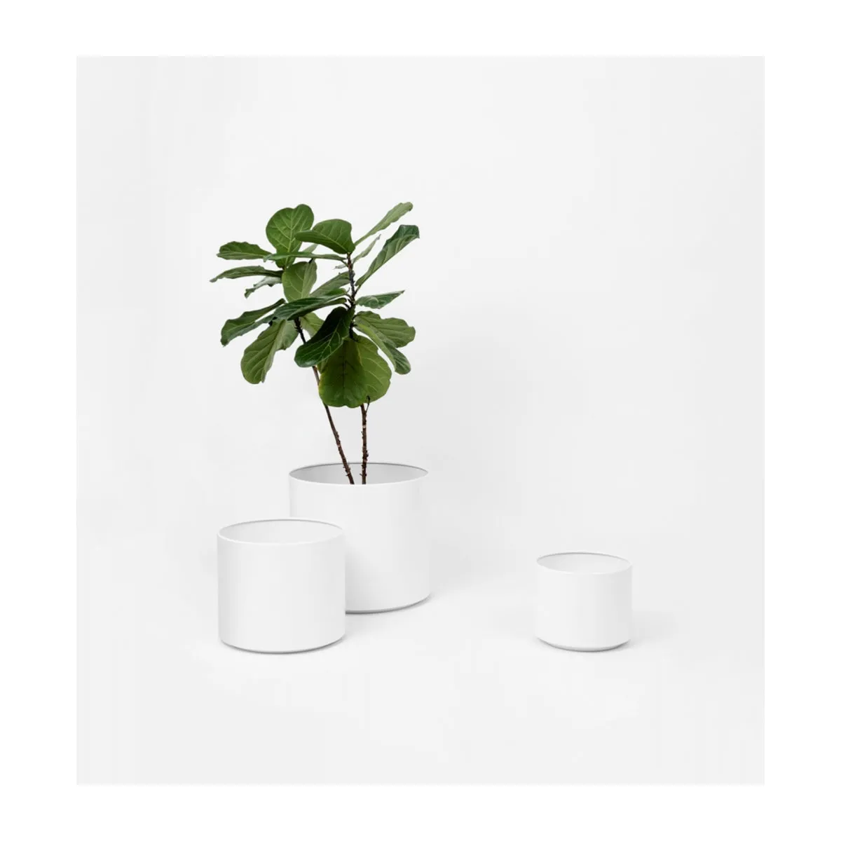Benny Planter (50cm)