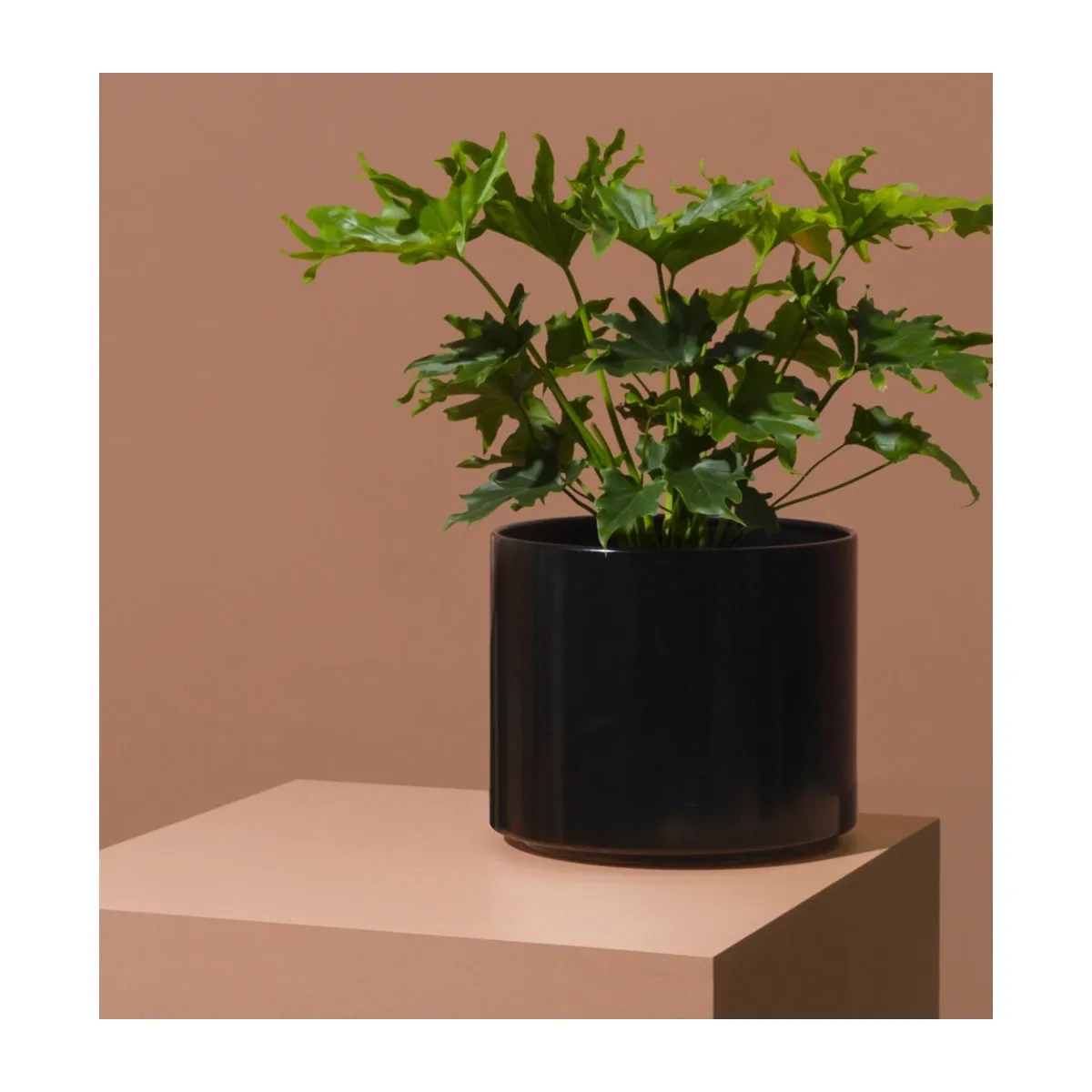 Benny Planter (50cm)