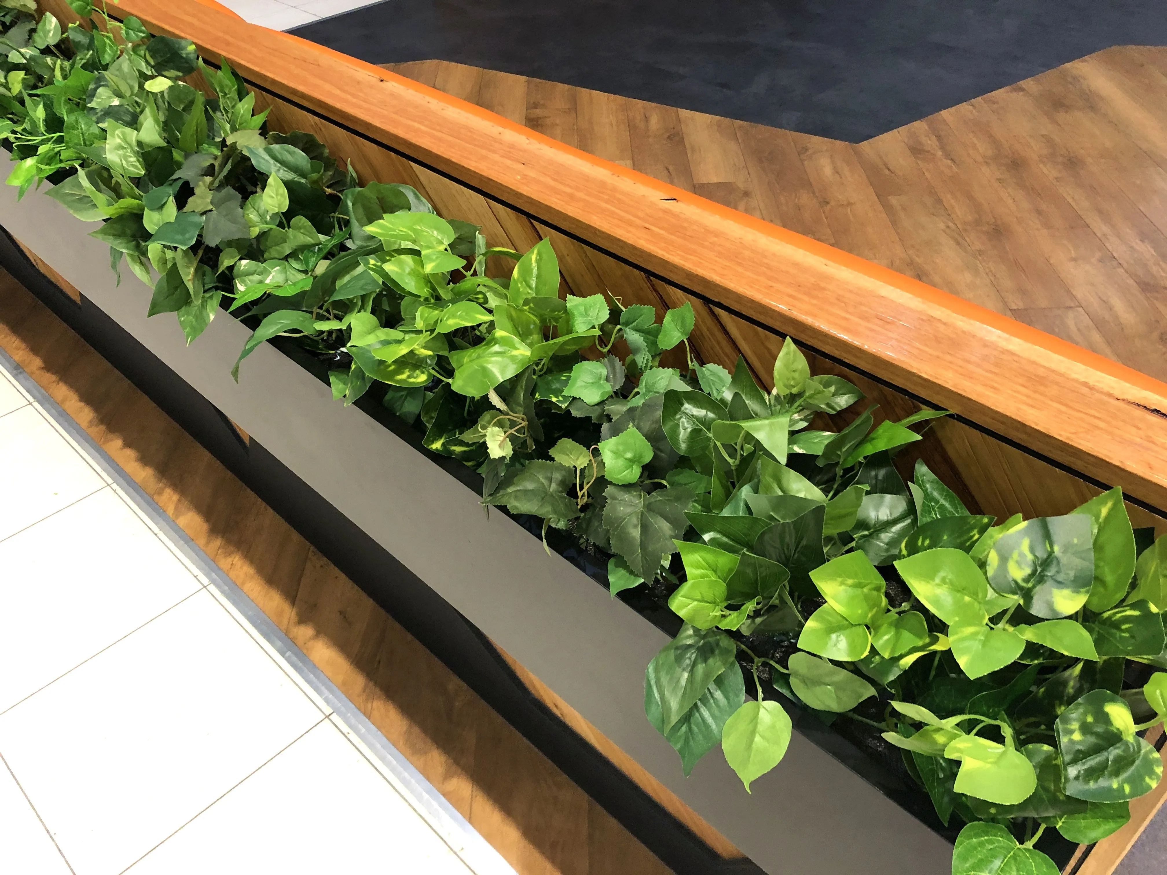 Caffissimo Cafe Rockingham - Small Greenery for Built-in Planters