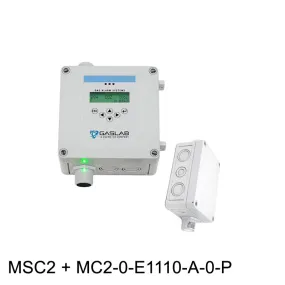 Carbon Monoxide (CO) Fixed Gas Detector w/ Remote Sensor (0-50ppm)