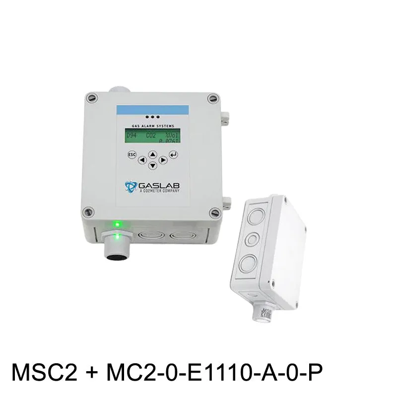 Carbon Monoxide (CO) Fixed Gas Detector w/ Remote Sensor (0-50ppm)
