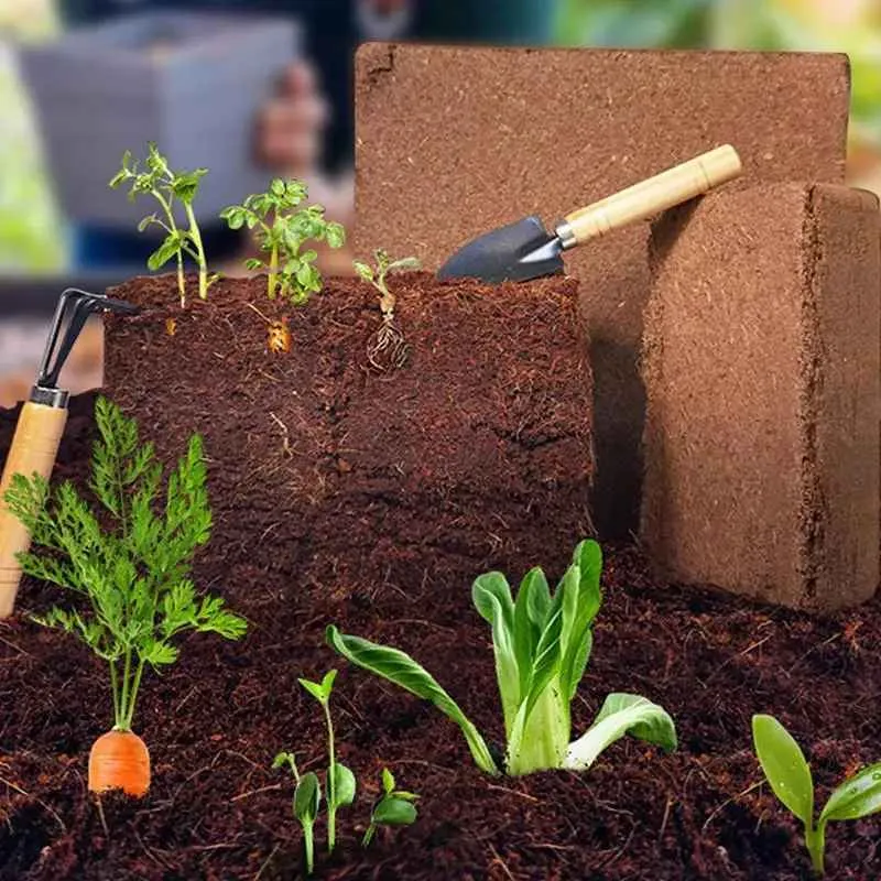 Coco coir brick from Old Garden