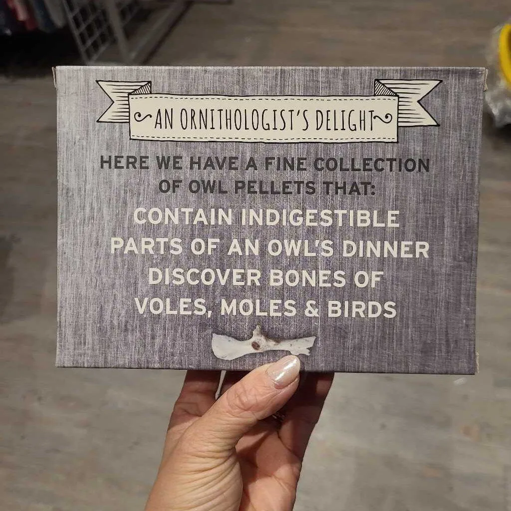 Copernicus Cabinet of Owl Pellets