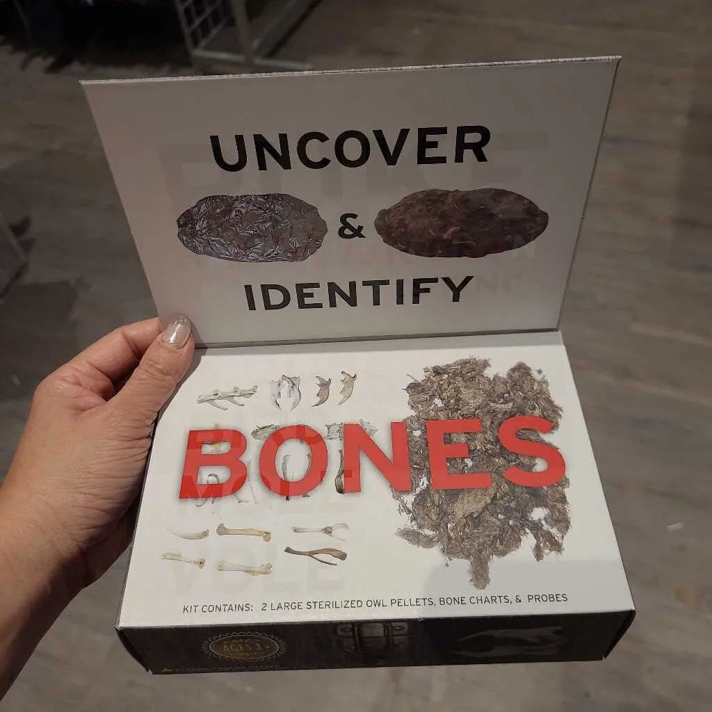 Copernicus Cabinet of Owl Pellets
