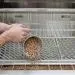 Coyote Touch-Screen Controlled 36" 304 Stainless Steel Freestanding Pellet Grill