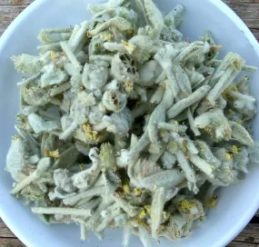 Cretan Mountain Tea / Malotira | Organic (Sideritis Syriaca)
