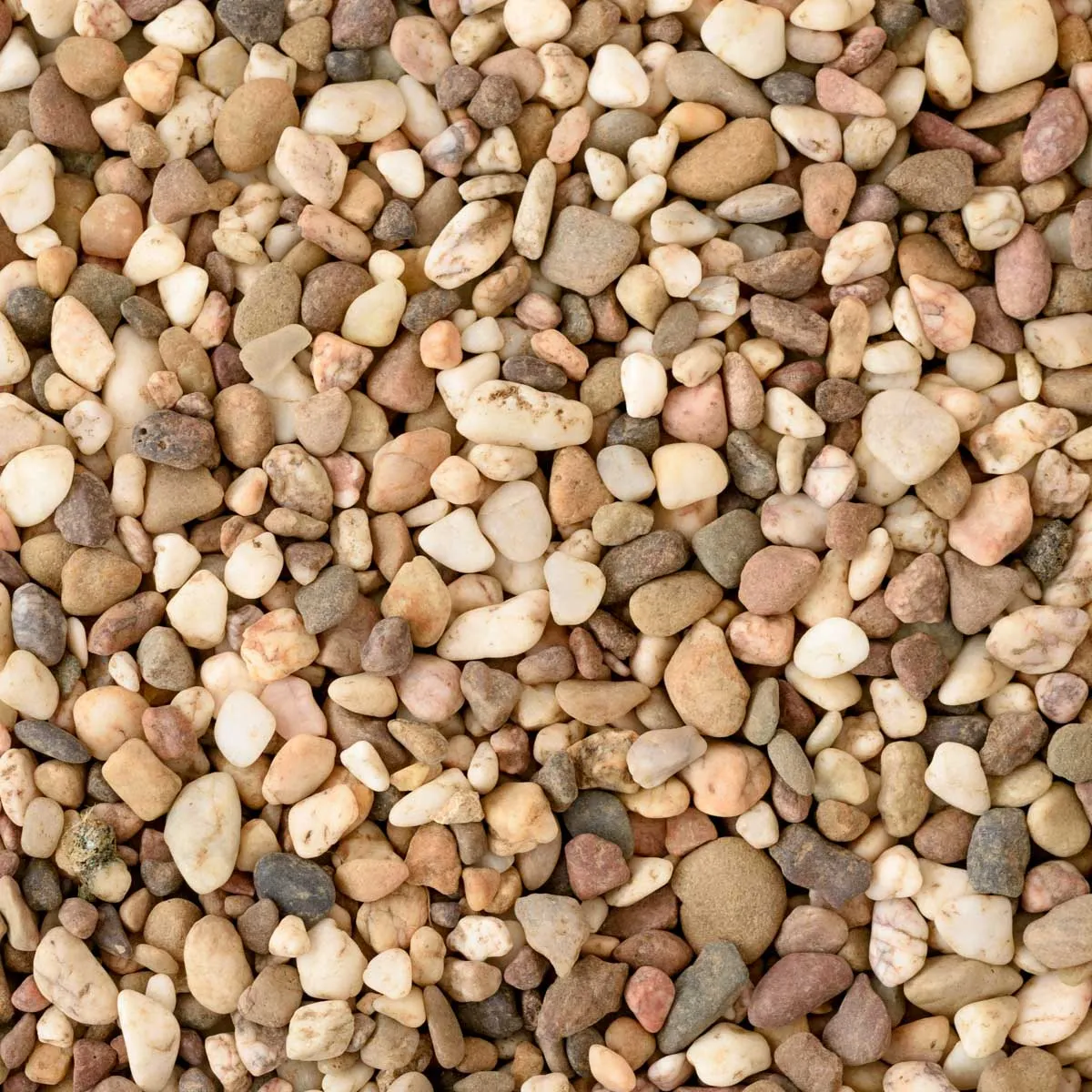 Decorative Garden Stones