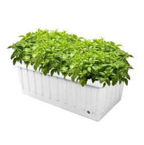 DWC Hydroponic System - XL 12