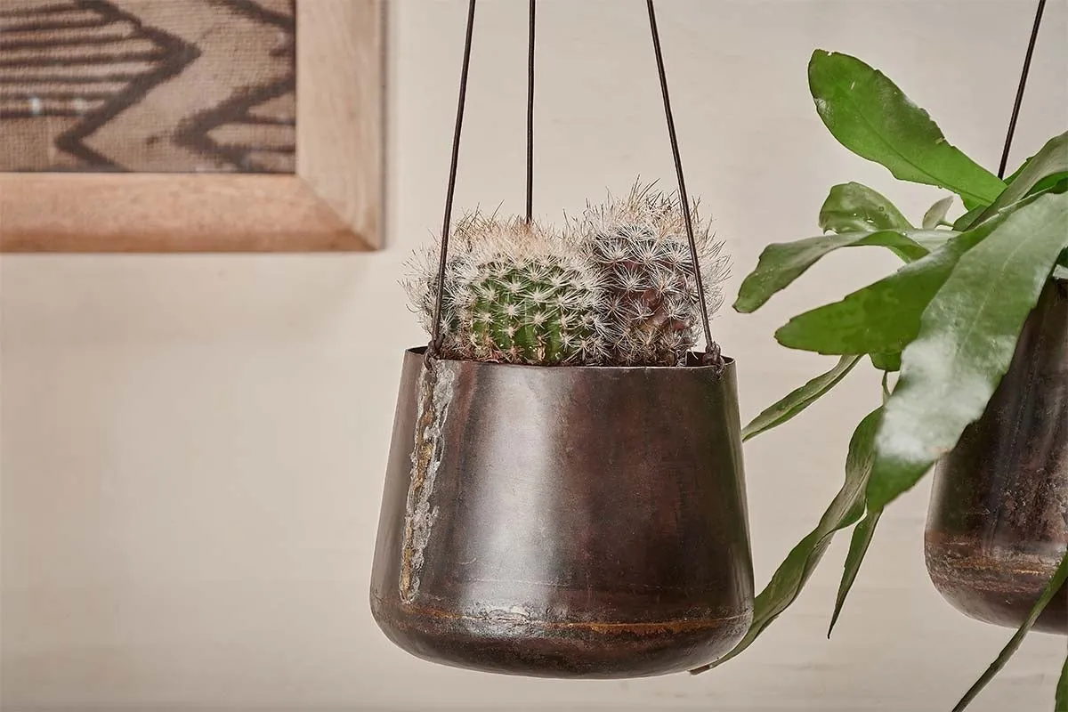 Endo Reclaimed Iron Hanging Planter