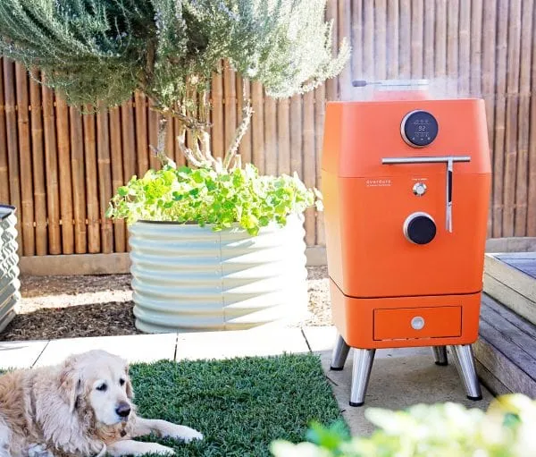 Everdure 4K Electric Ignition Charcoal Outdoor BBQ Oven - HBCE4K