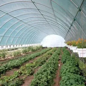 FarmTek GrowSpan 26'W Round Premium Extra Tall Tunnel Greenhouse System | High Tunnel For Crop Yield & Quality Enhancement