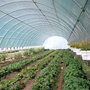 FarmTek GrowSpan 26'W Round Premium Extra Tall Tunnel Greenhouse System | High Tunnel For Crop Yield & Quality Enhancement