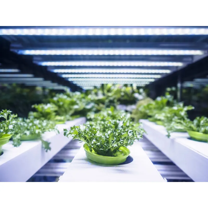 Feit A21 E26 (Medium) LED Grow Light Clear 1 pk