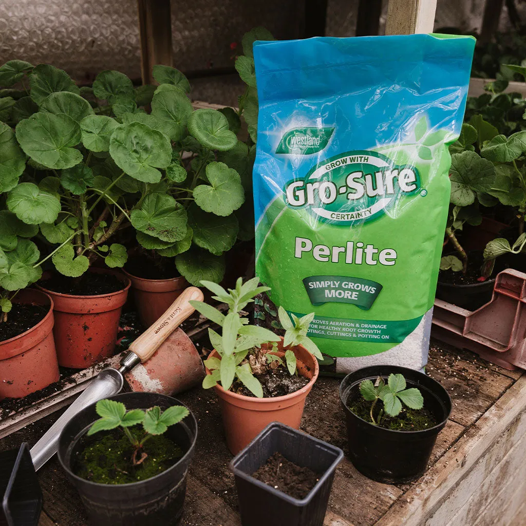 Gro-Sure Perlite 10 litre bag