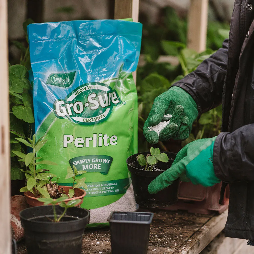 Gro-Sure Perlite 10 litre bag