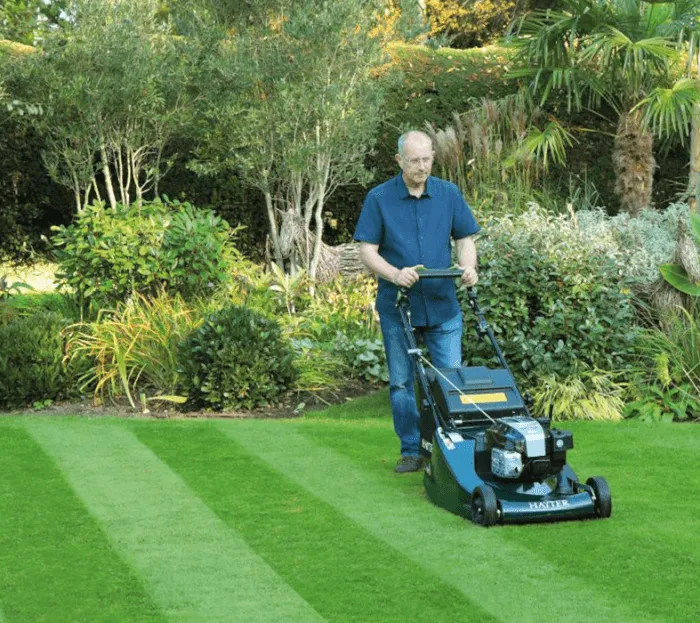 Hayter Harrier 56 Petrol VS BBC Rear-Roller Mower