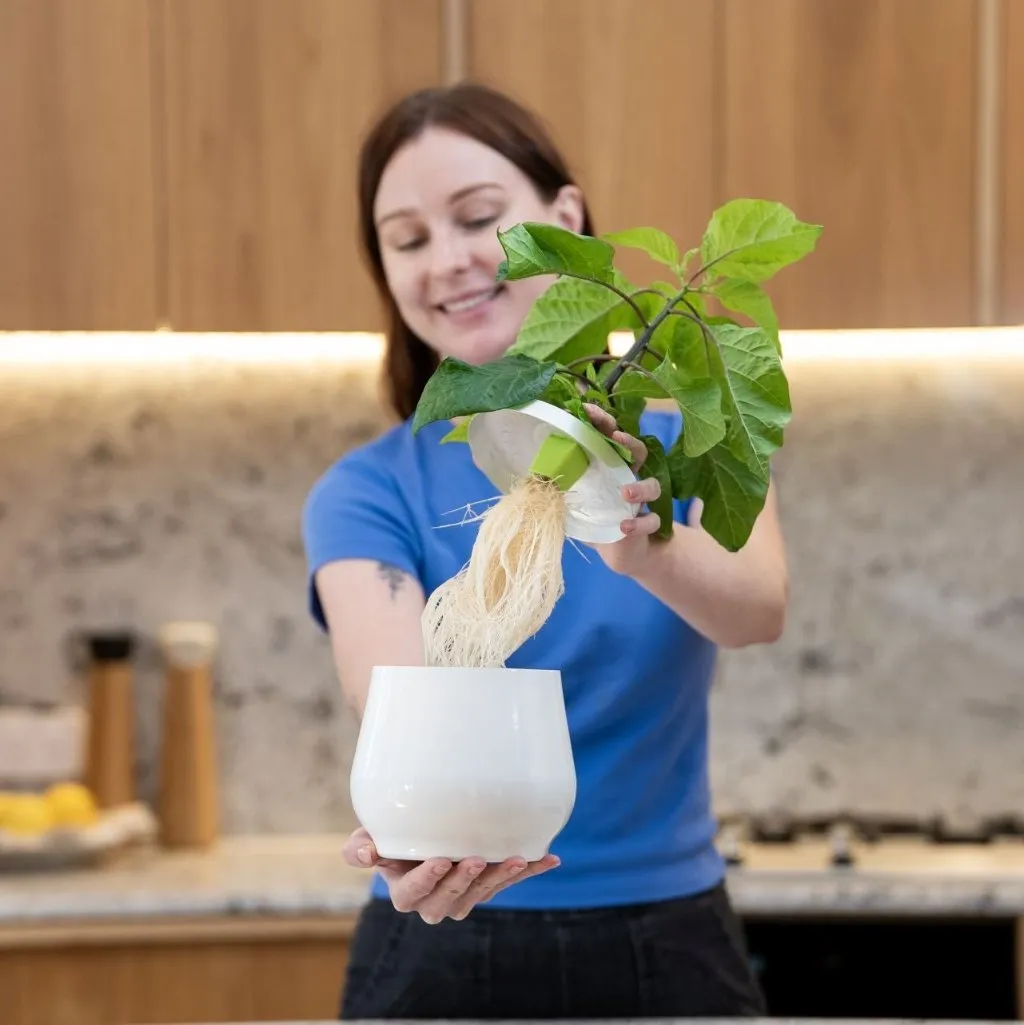 Premium Aluminium Hydroponic Heirloom Planter | Passive Kratky Pot for Easy Plant Care
