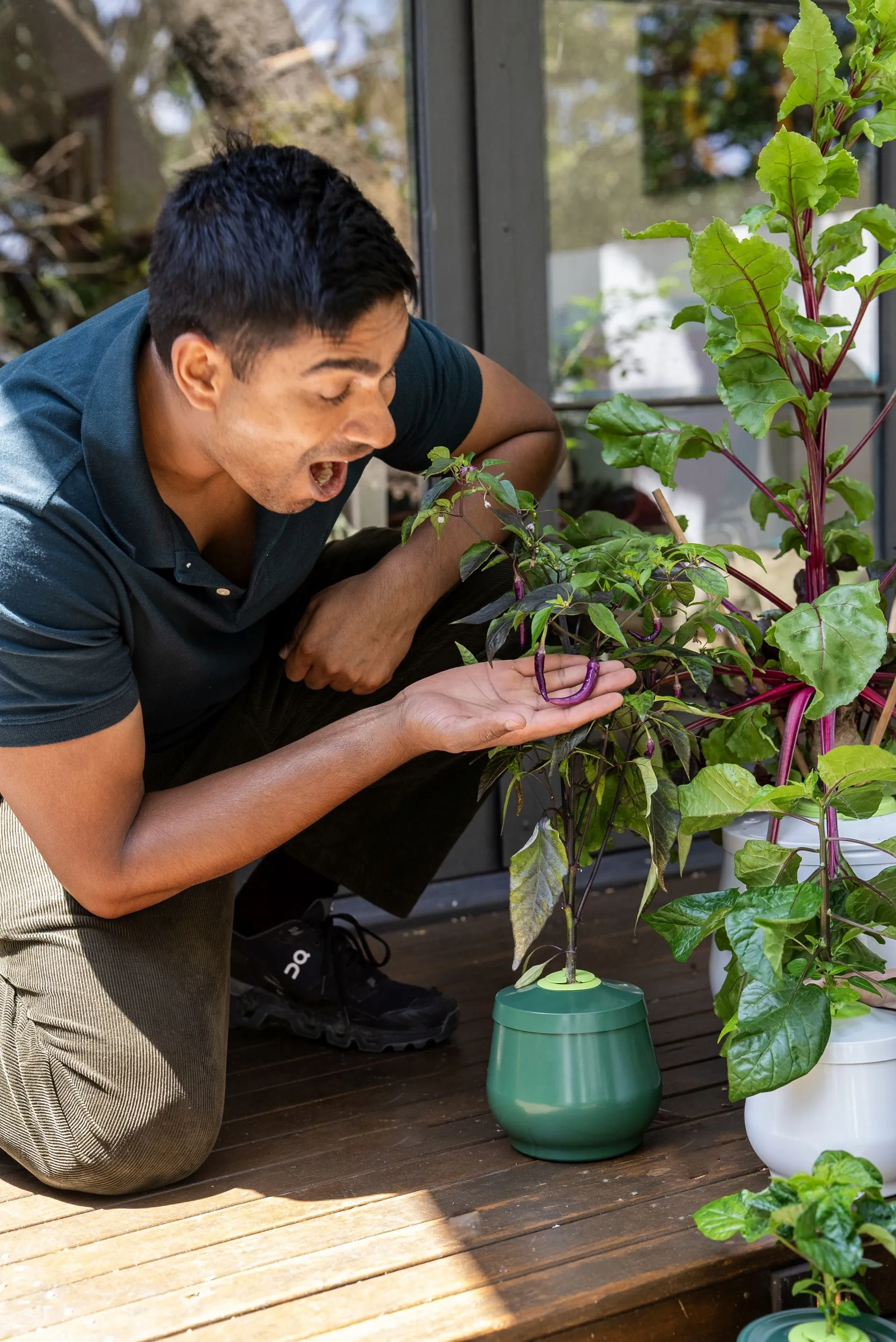 Premium Aluminium Hydroponic Heirloom Planter | Passive Kratky Pot for Easy Plant Care