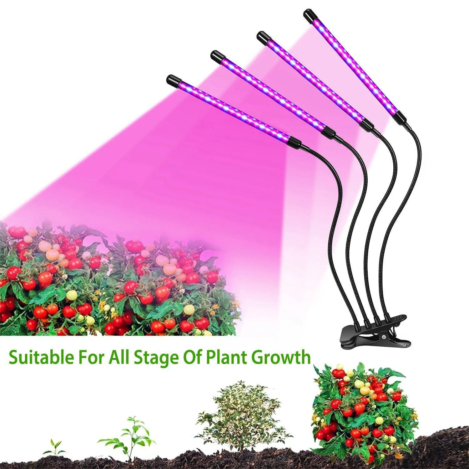 iMounTEK 80W 80 LEDs Plant Lights