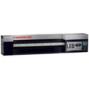 Marineland LED System Accent Lighting Blue 17"