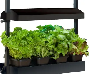 Micro Grow Light Garden, Black