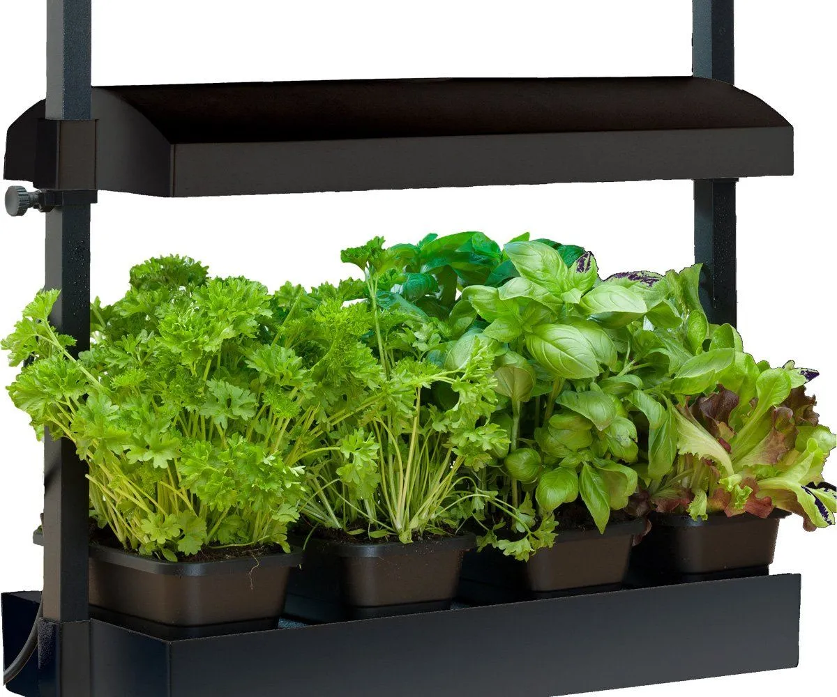 Micro Grow Light Garden, Black