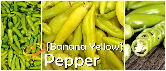Pepper (Sweet) - Banana