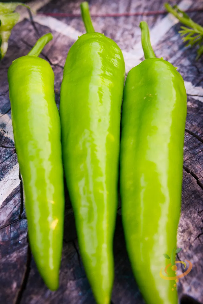 Pepper (Sweet) - Banana