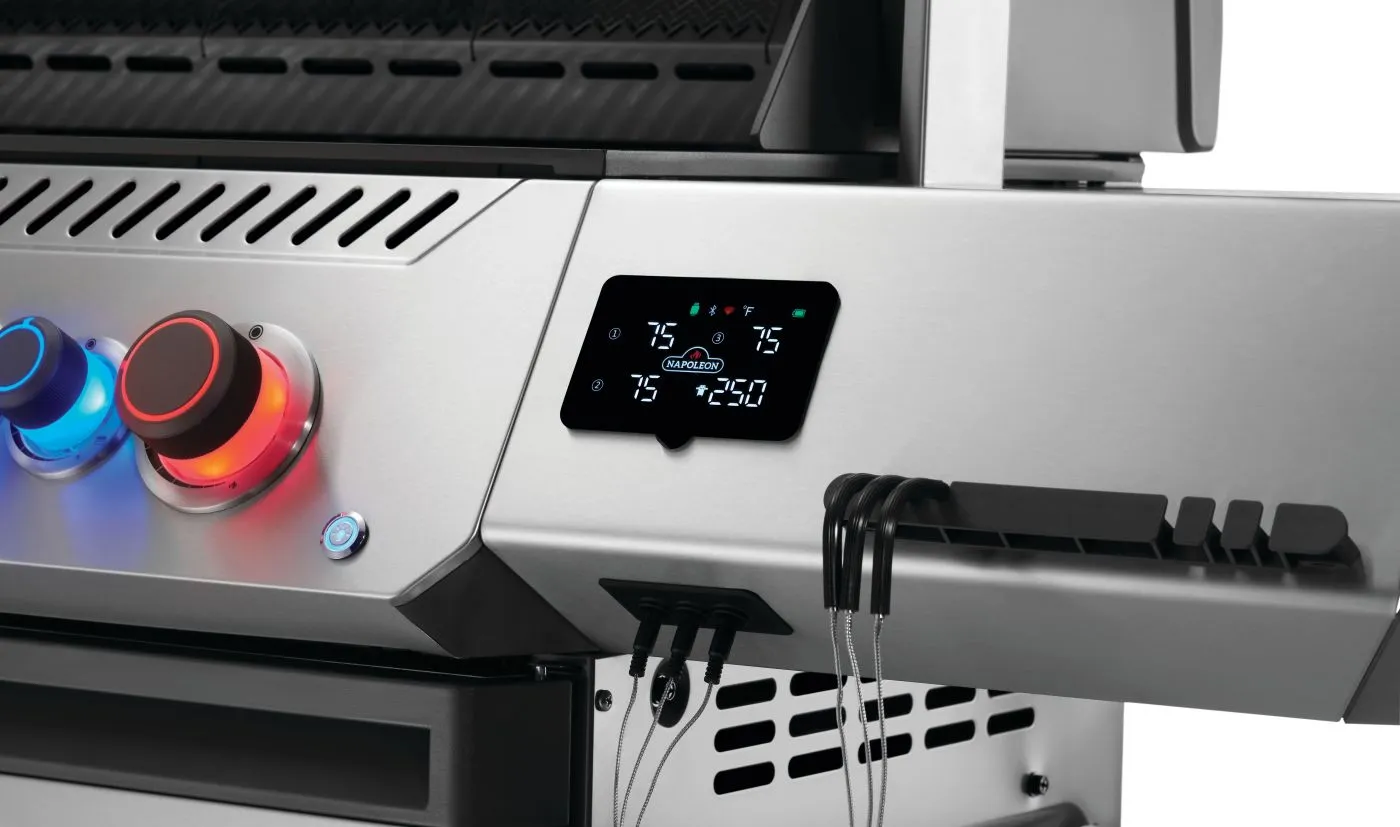 Prestige® 500 Connected RSIB by Napoleon