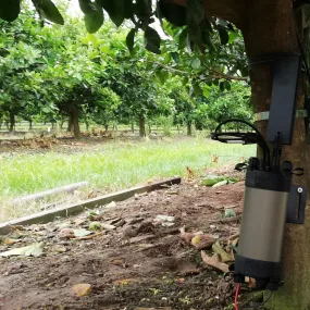 Sap Flow Meter