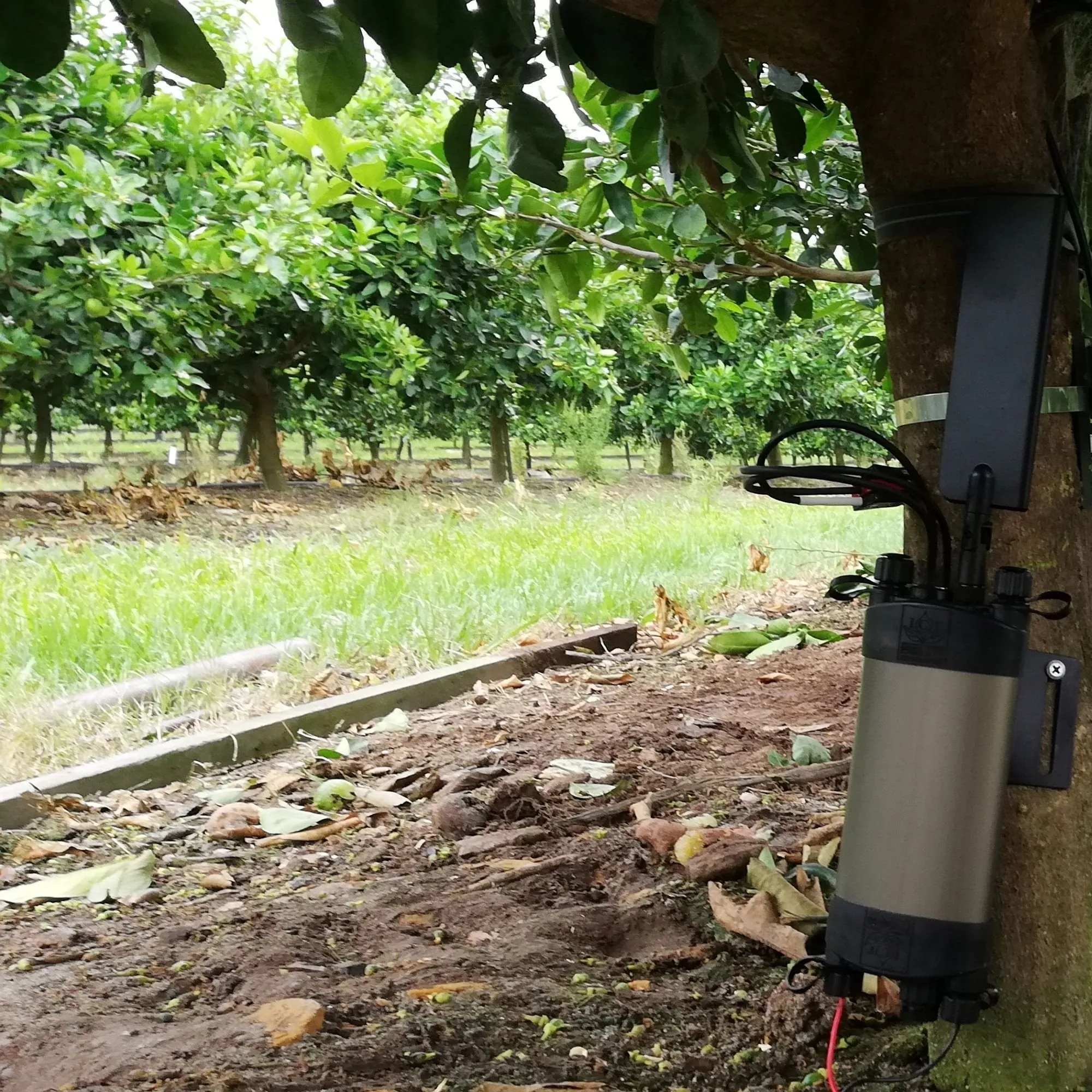 Sap Flow Meter