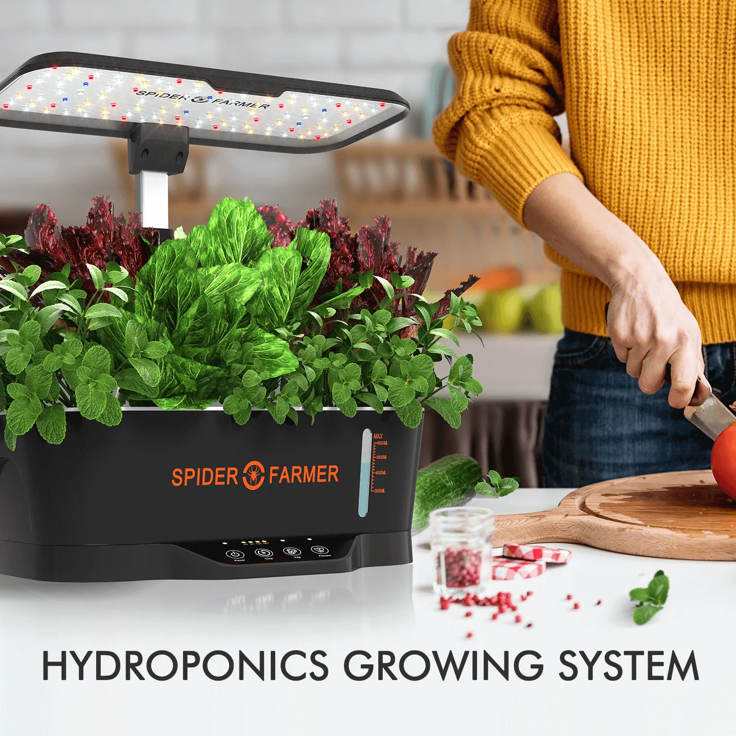 Spider Farmer Hydroponics Growing System