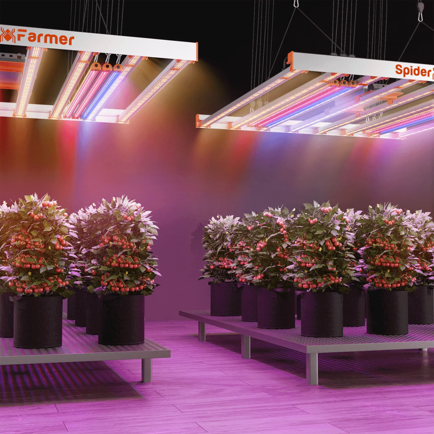 Spider Farmer UV60 365nm Supplemental UV LED Grow Light Bars