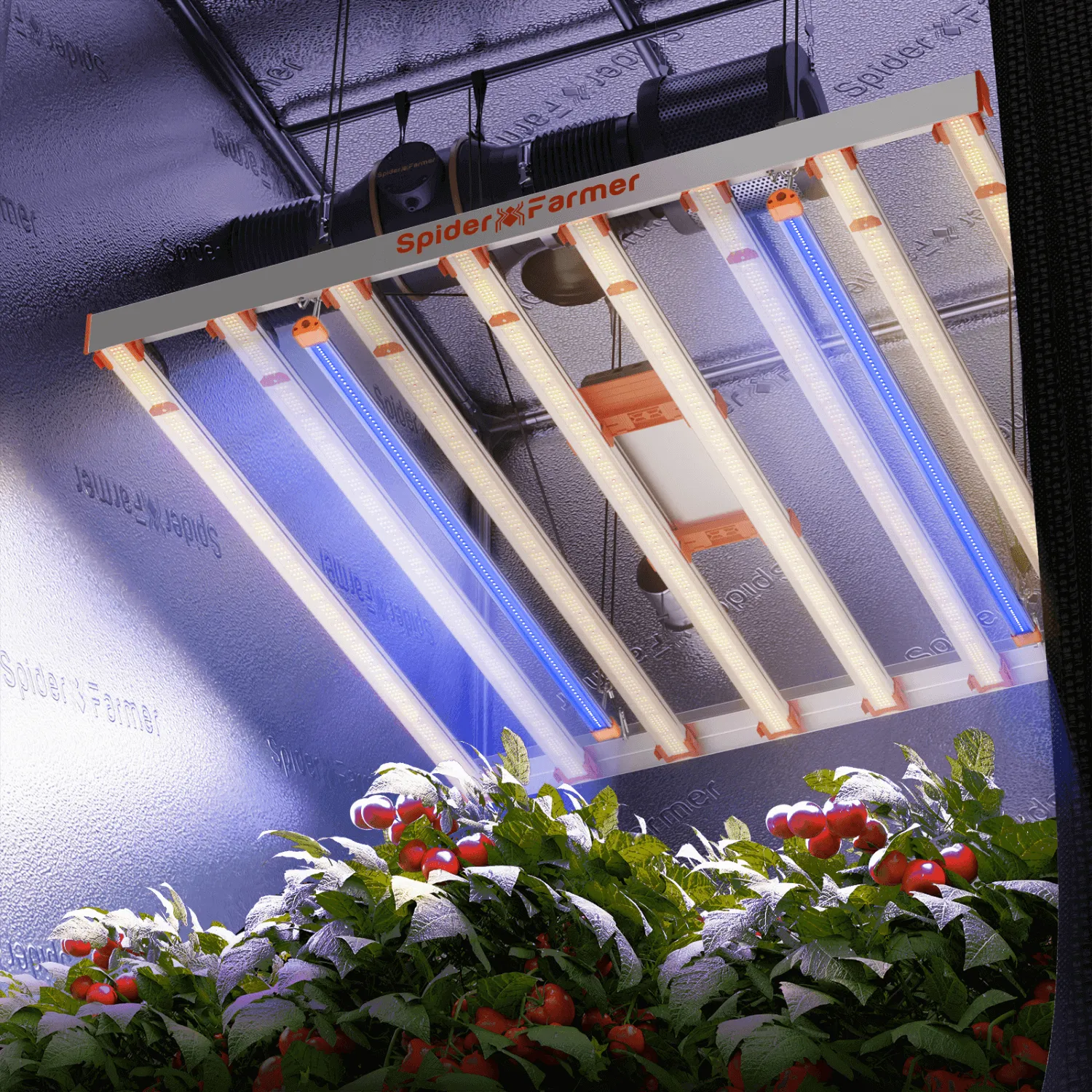 Spider Farmer UV60 365nm Supplemental UV LED Grow Light Bars
