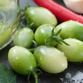 Tomato - Green Grape (Indeterminate)
