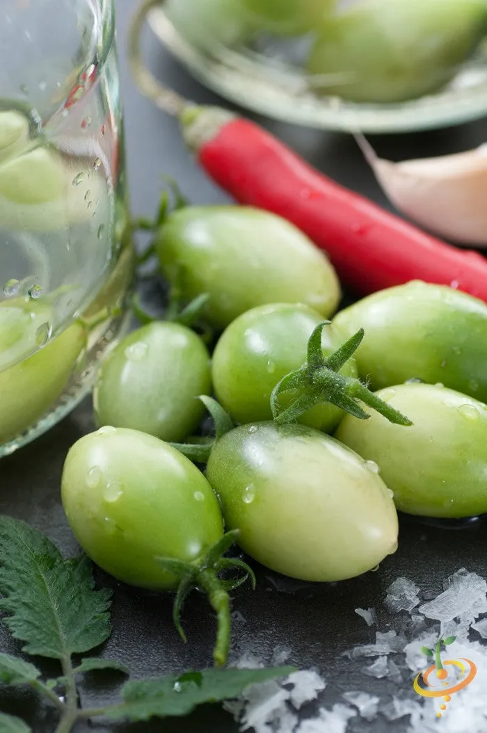 Tomato - Green Grape (Indeterminate)