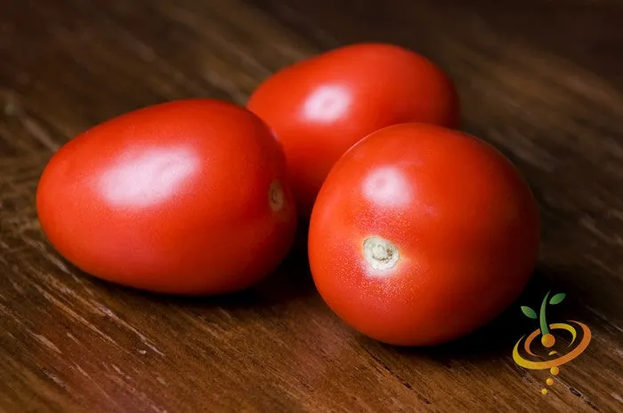 Tomato - Roma (Determinate)