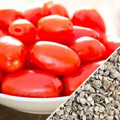 Tomato - Roma (Determinate)