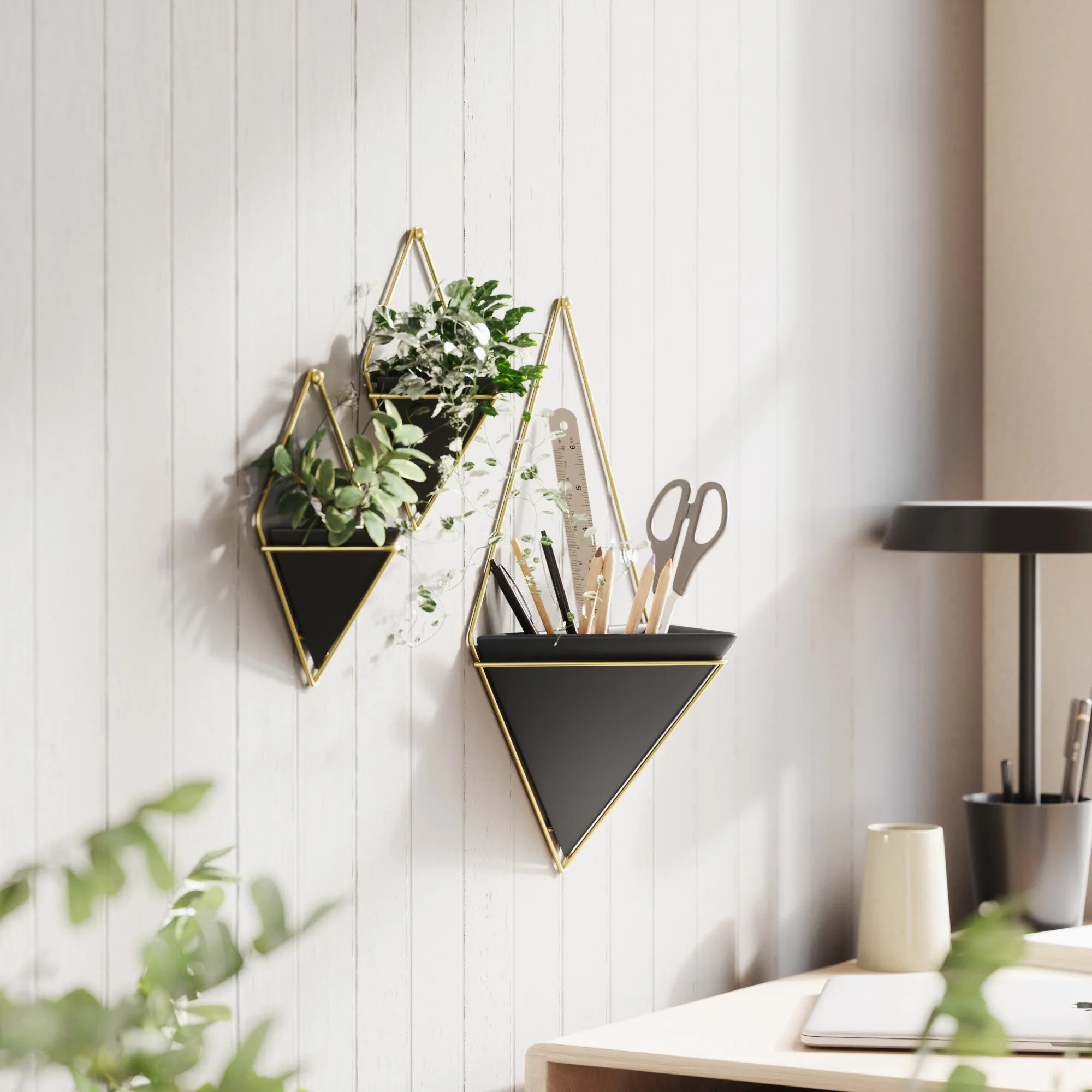 Trigg Wall Planter & Storage, Large