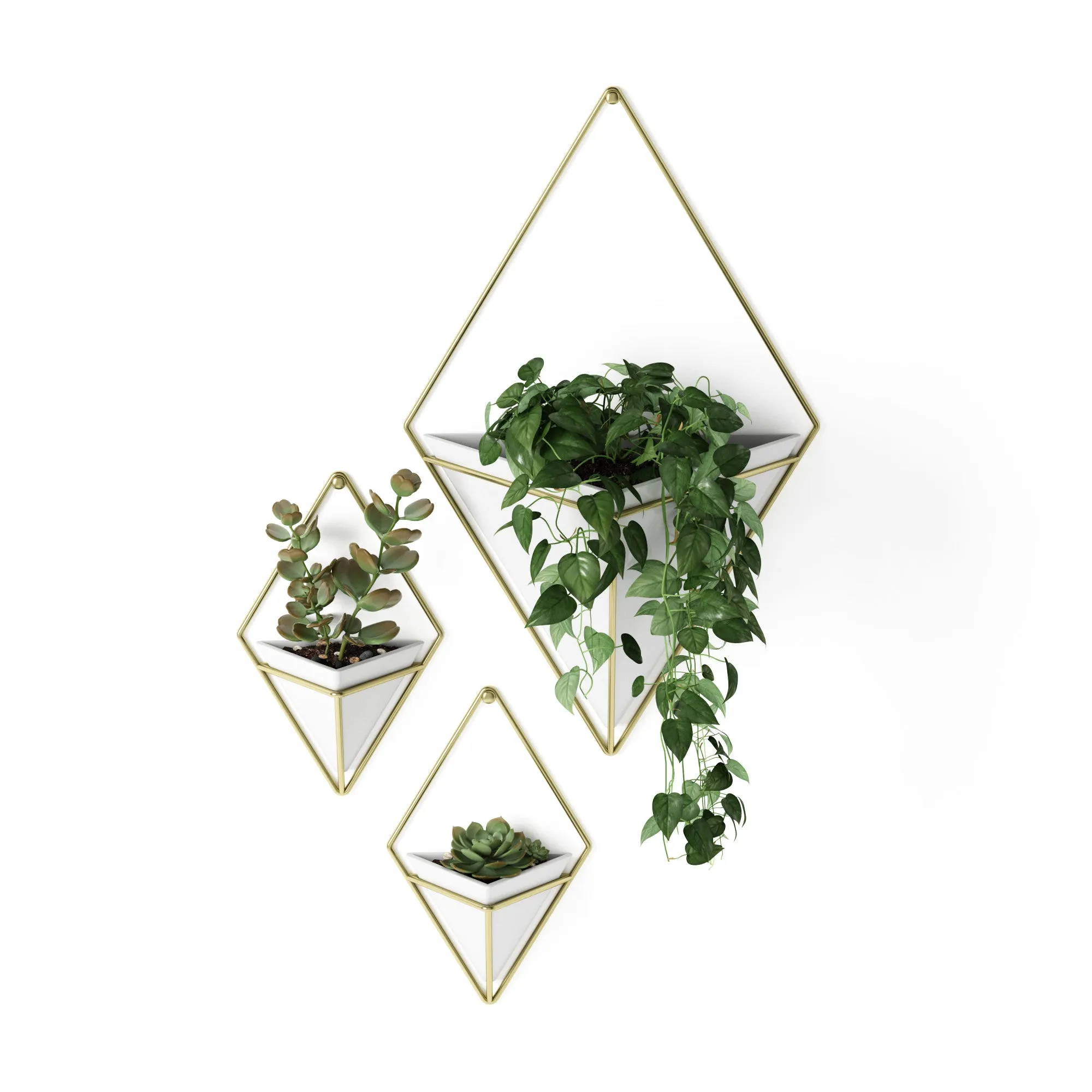 Trigg Wall Planter & Storage, Large