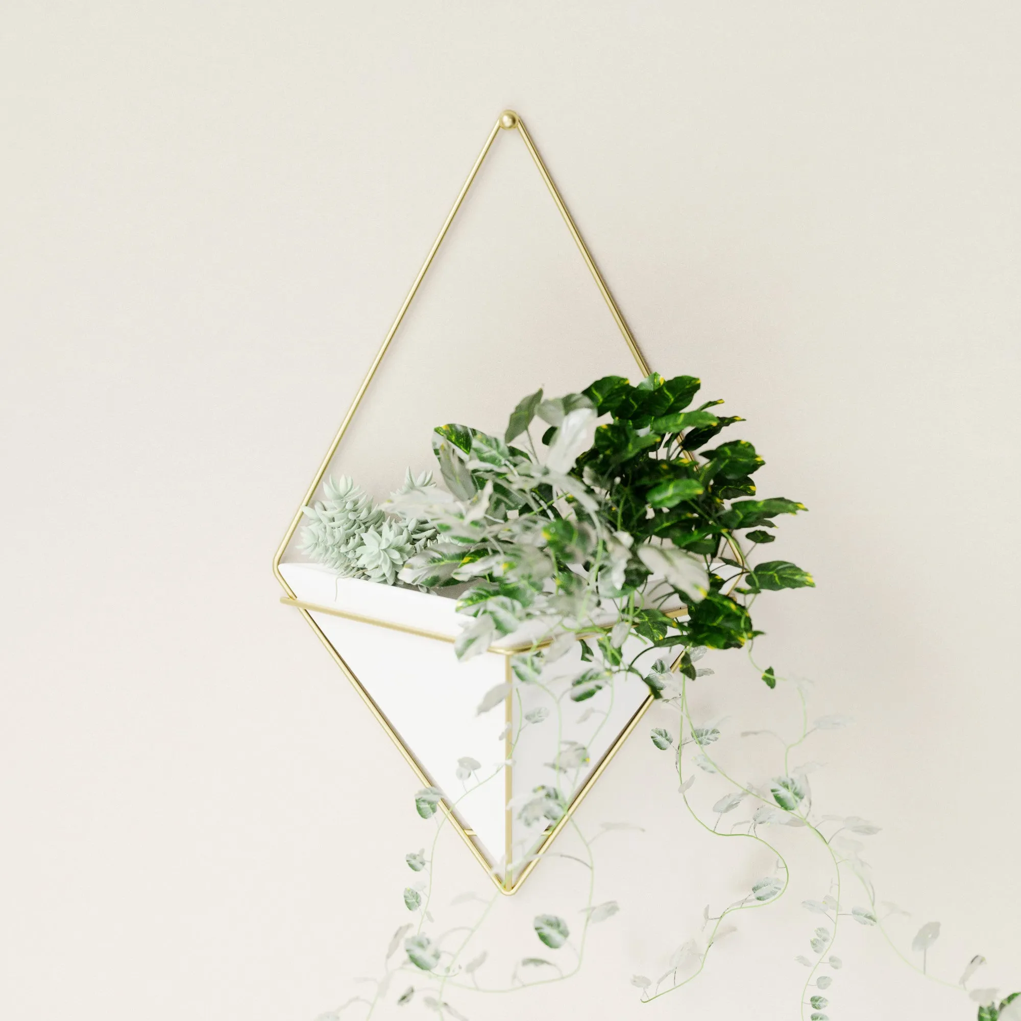 Trigg Wall Planter & Storage, Large